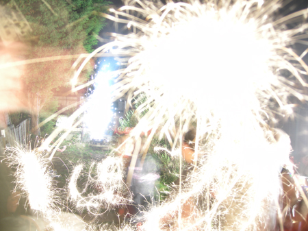 DSCN4018