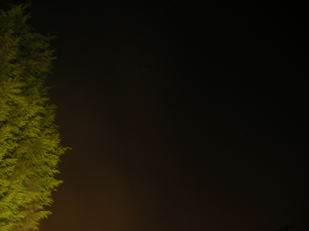DSCN4022